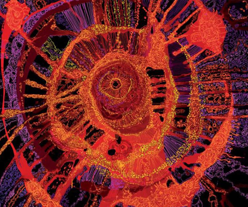 Close up for official NAIDOC Week poster 2026 by Zaachariaha Fielding